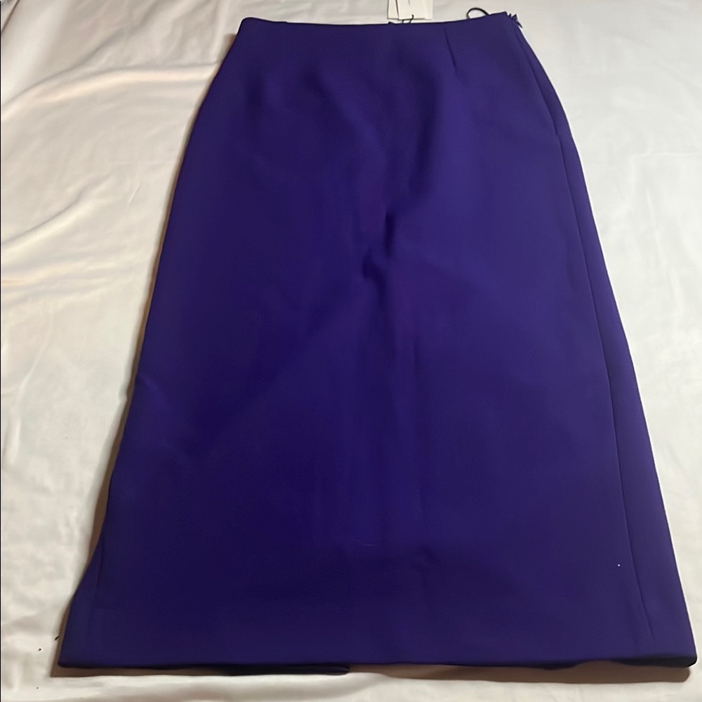 Zara Purple Maxi Skirt